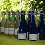 gite-ecolo-bebe-bretagne-lavilleheleuc-champagne-sureau-DSC_6247