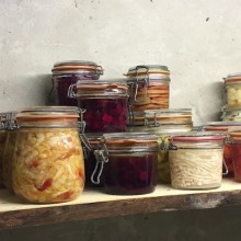 Lacto-fermentation
